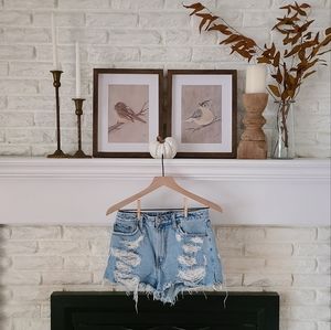 Abercrombie & Fitch Shorts